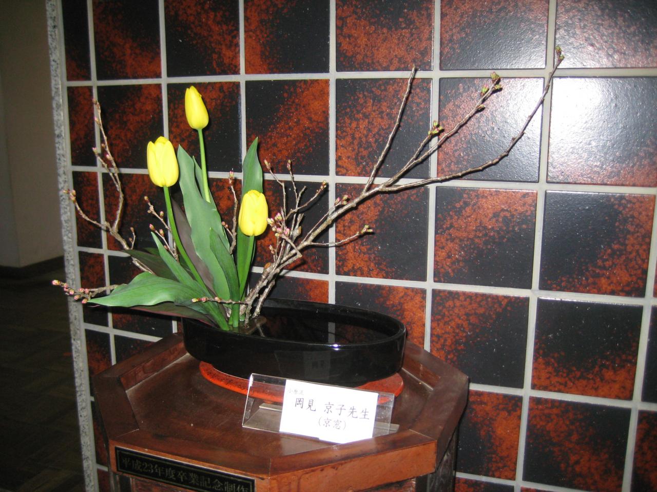 IMG_8097 IMG_8097