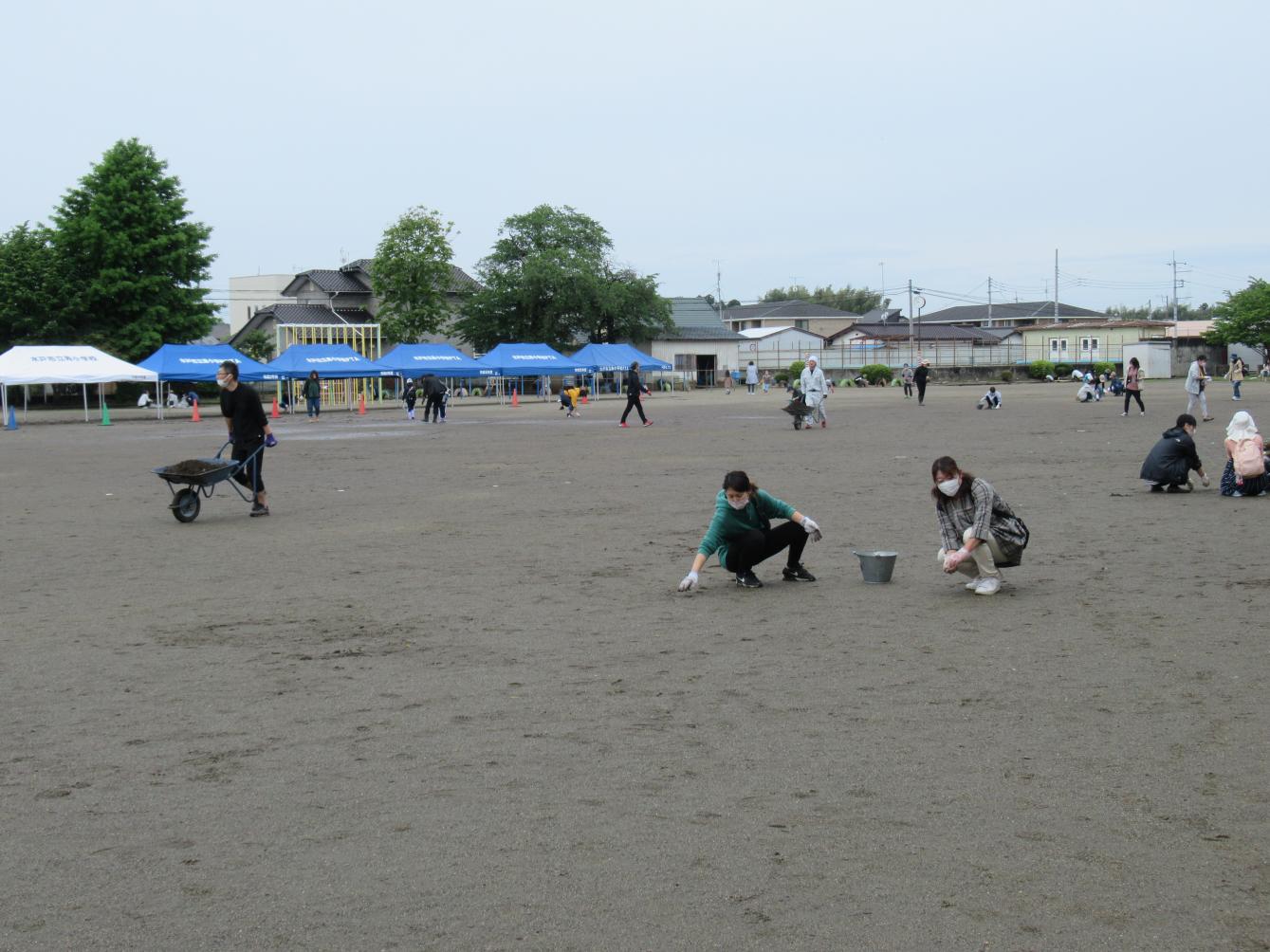 IMG_4057 IMG_4057