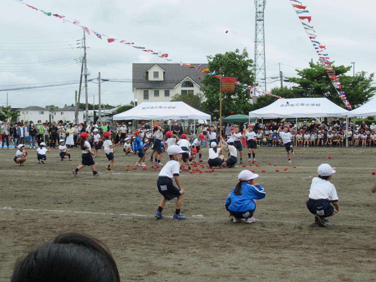 IMG_4190 IMG_4190