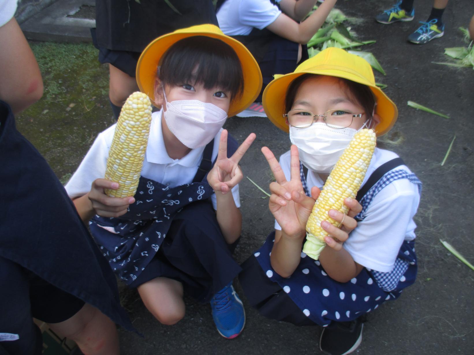 IMG_1478 IMG_1478