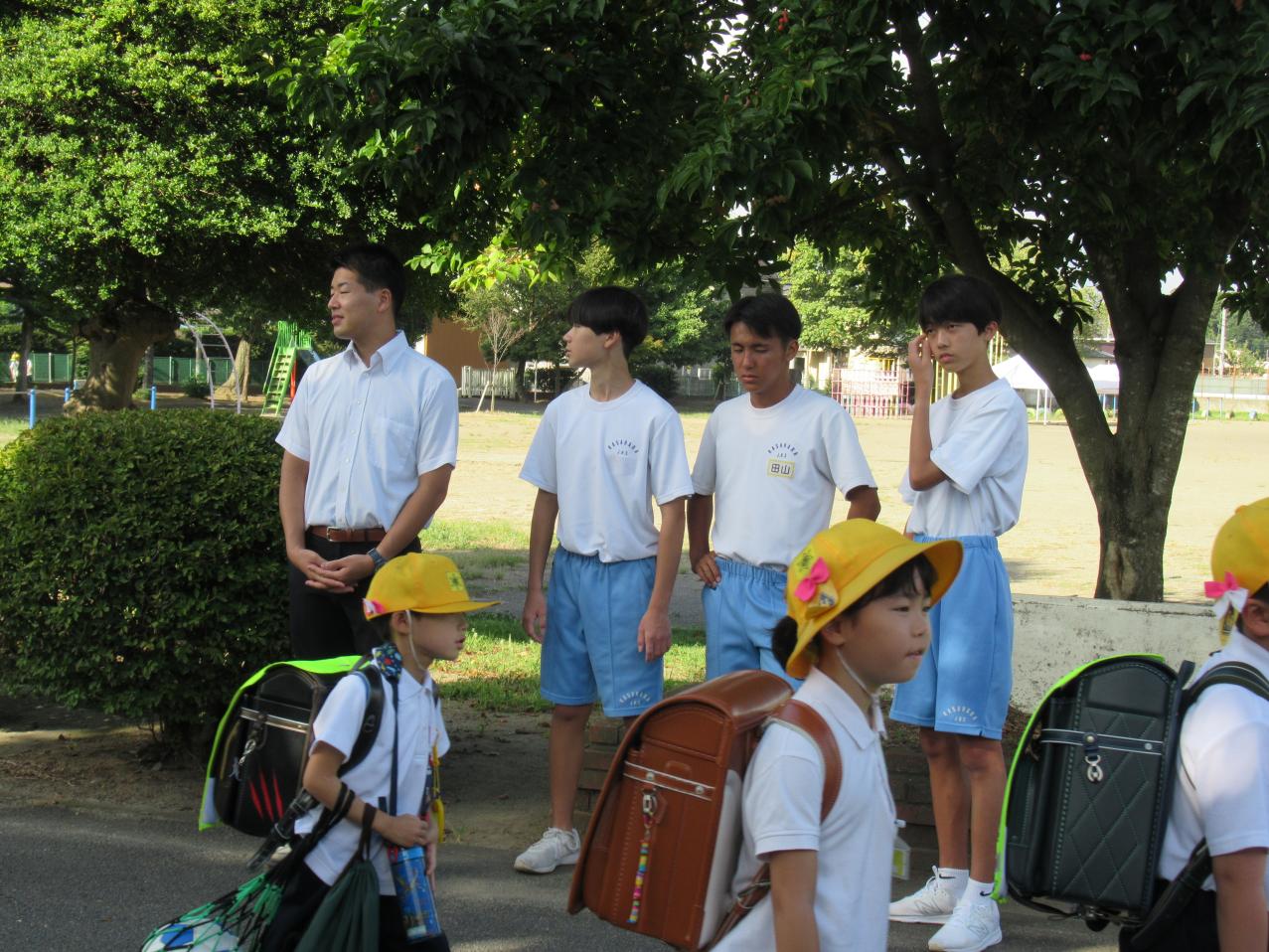 IMG_4946 IMG_4946