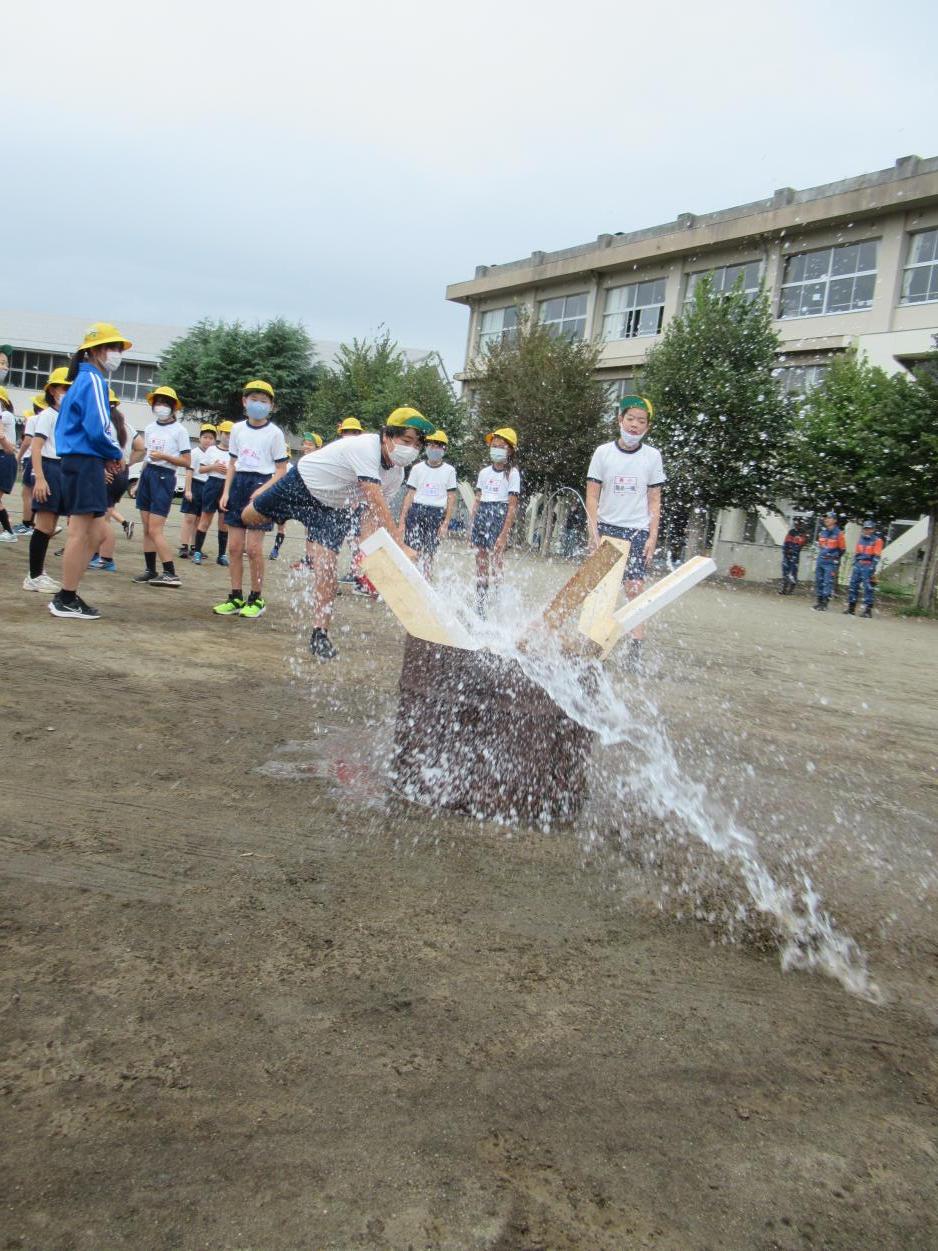 IMG_2289 IMG_2289
