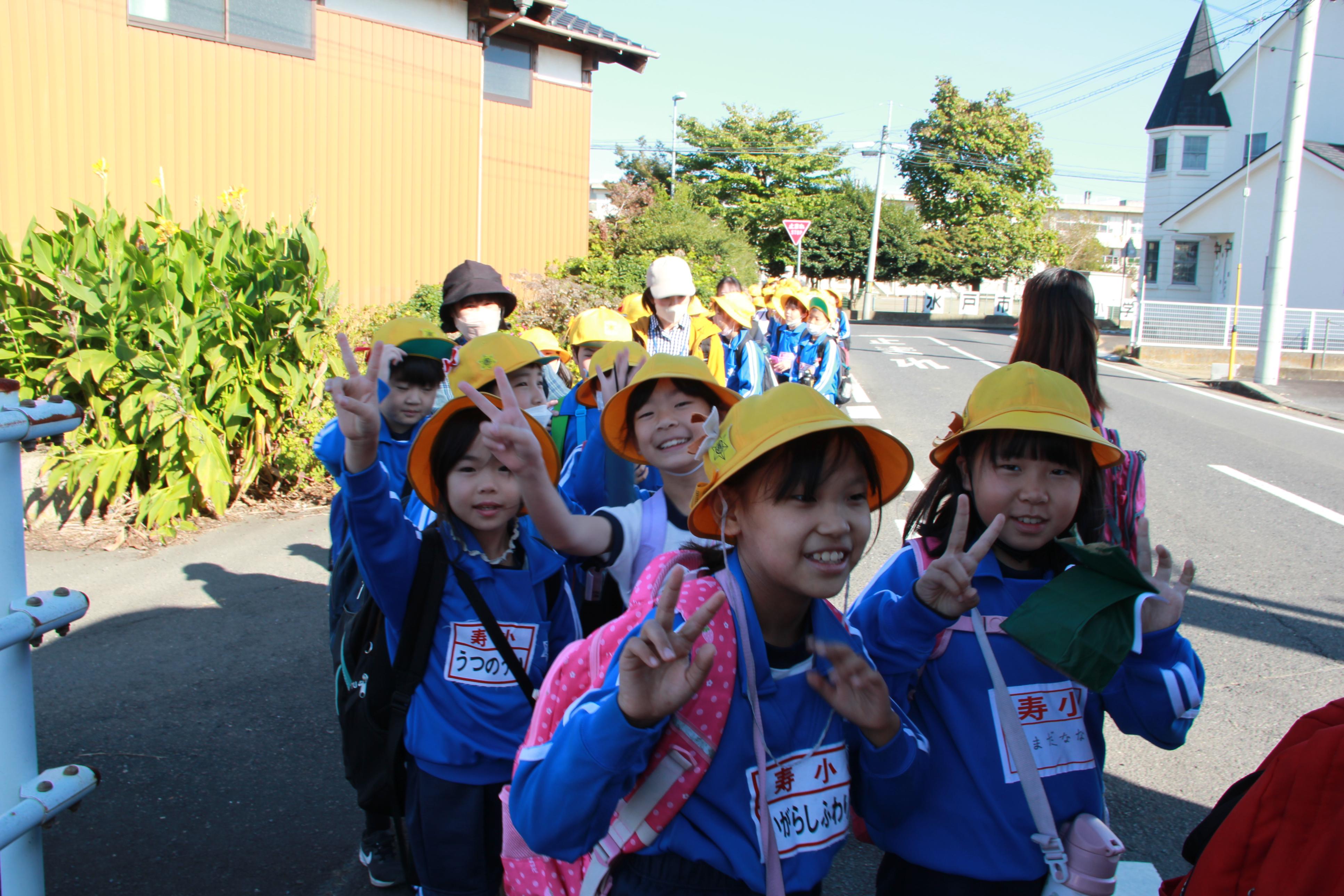 IMG_5847 IMG_5847