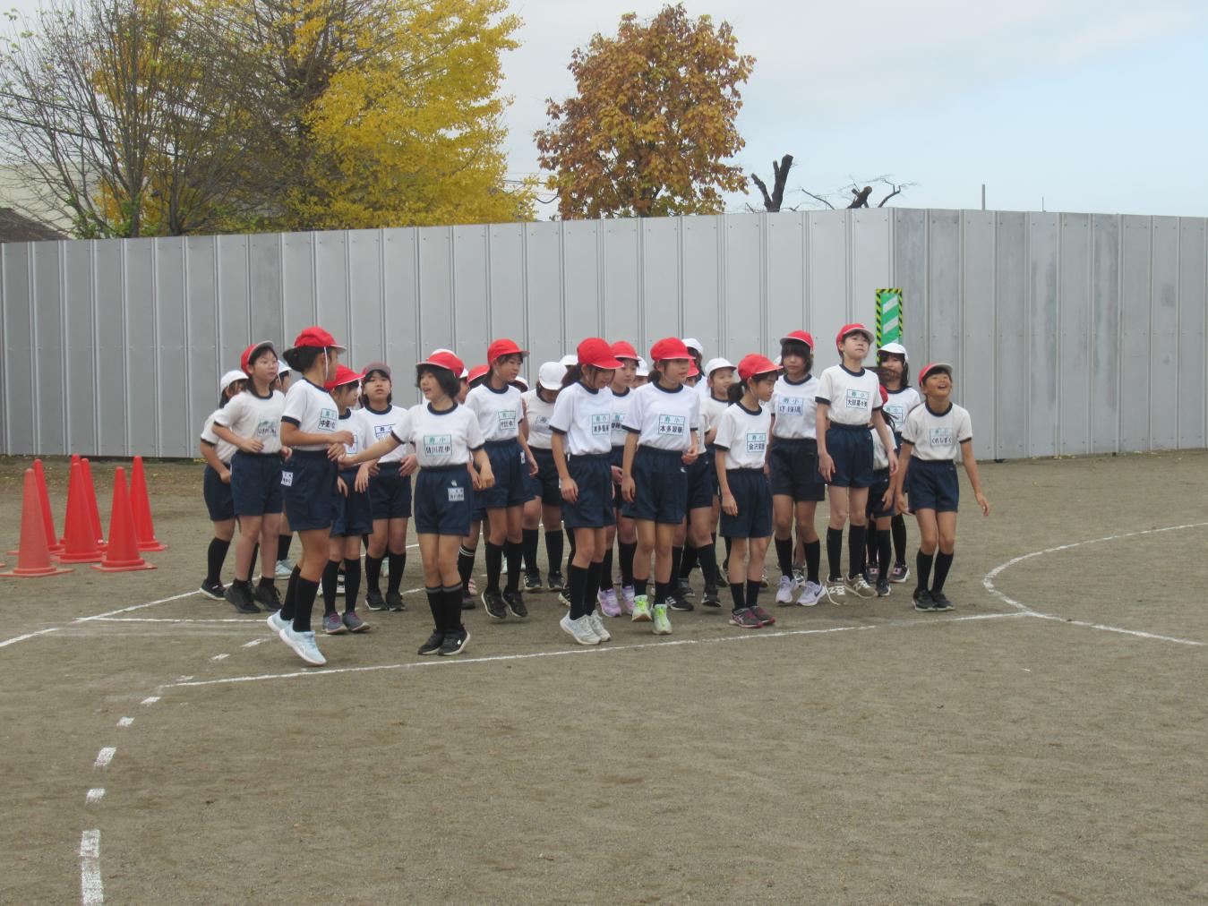 IMG_8265 IMG_8265