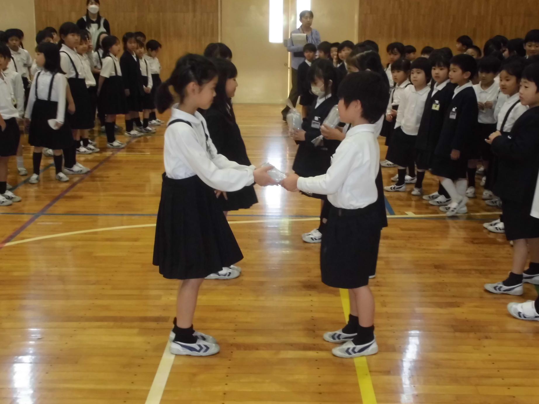 CIMG0285 CIMG0285