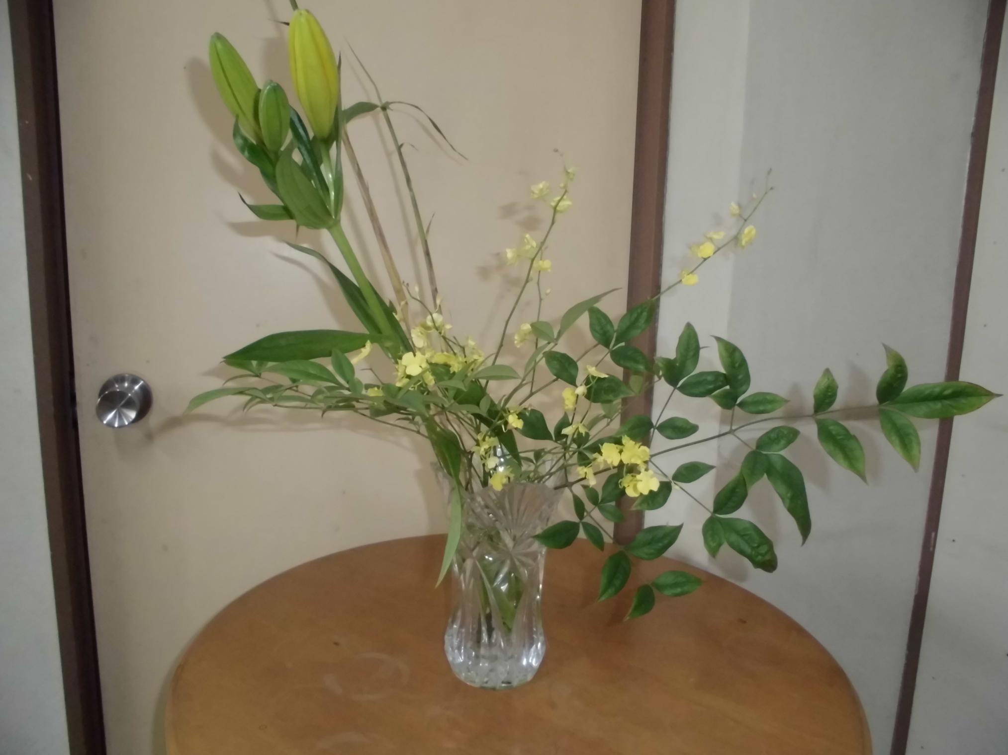 CIMG0323