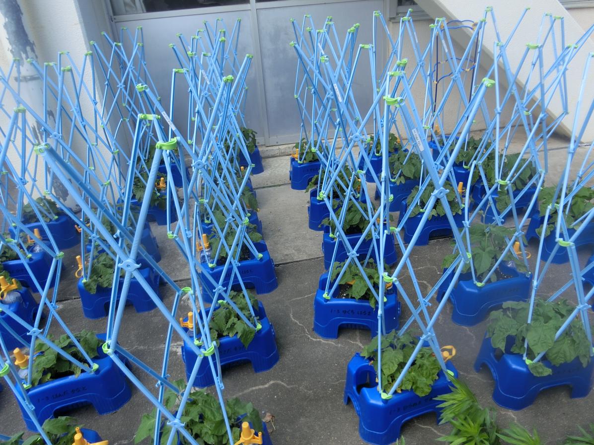 CIMG0901 CIMG0901