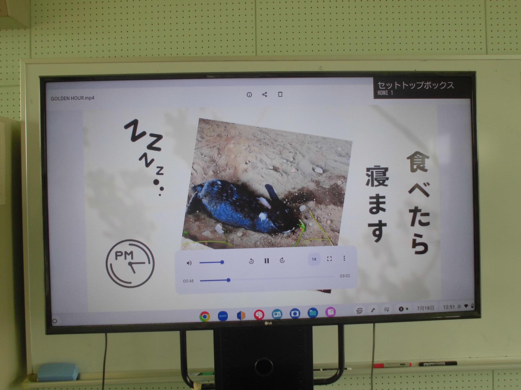 CIMG0513