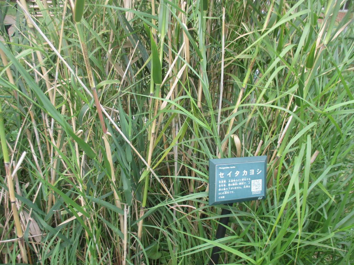 IMG_3338 IMG_3338