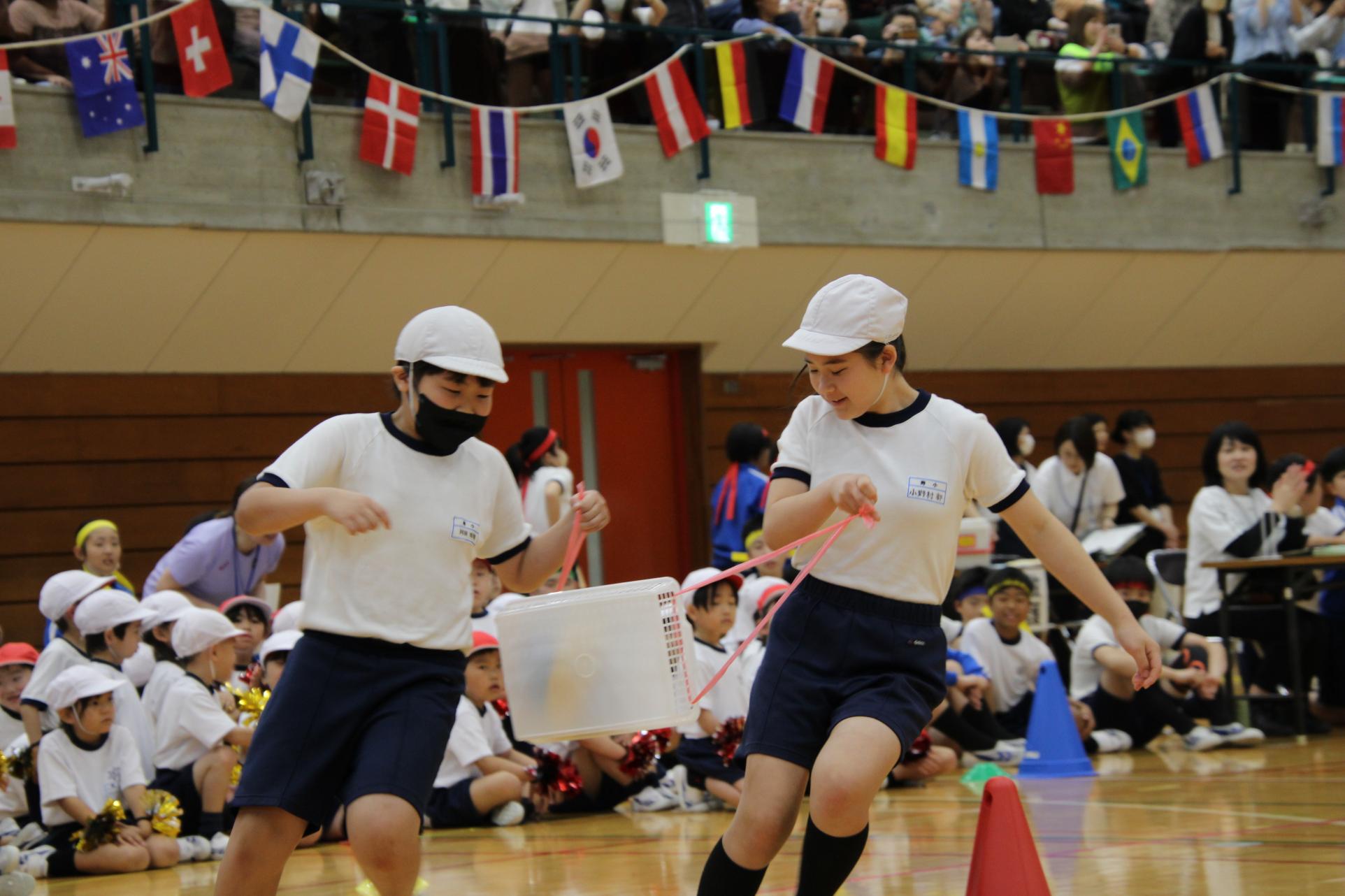 IMG_9012 IMG_9012