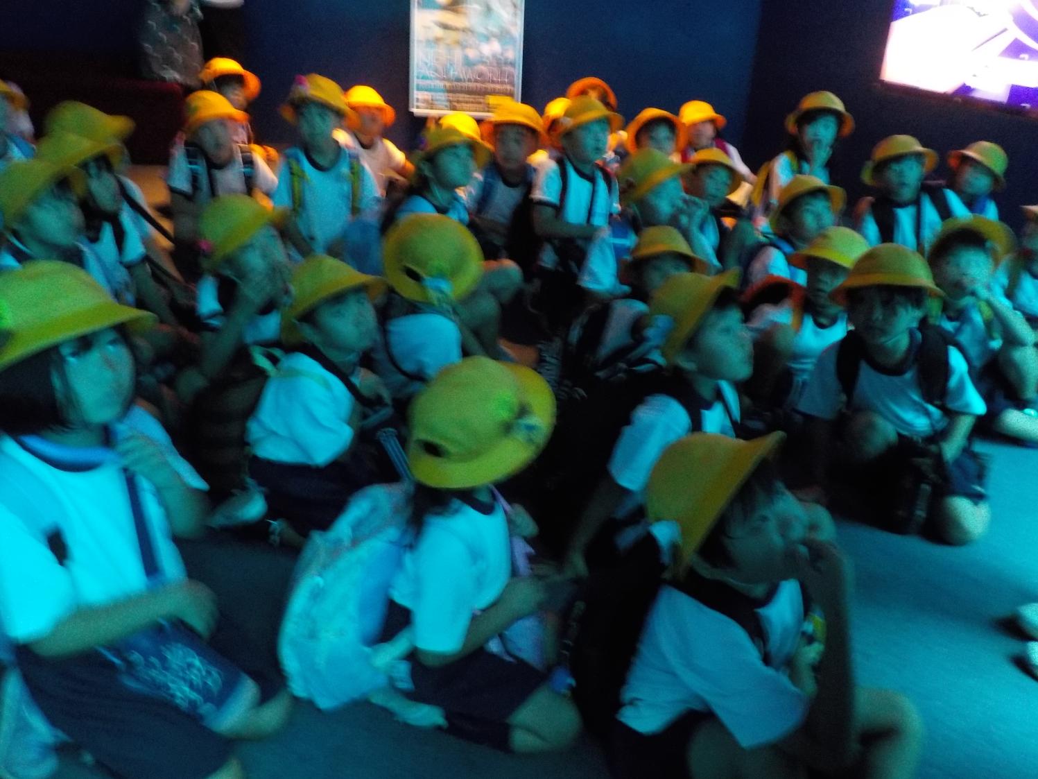 DSCN0425 DSCN0425
