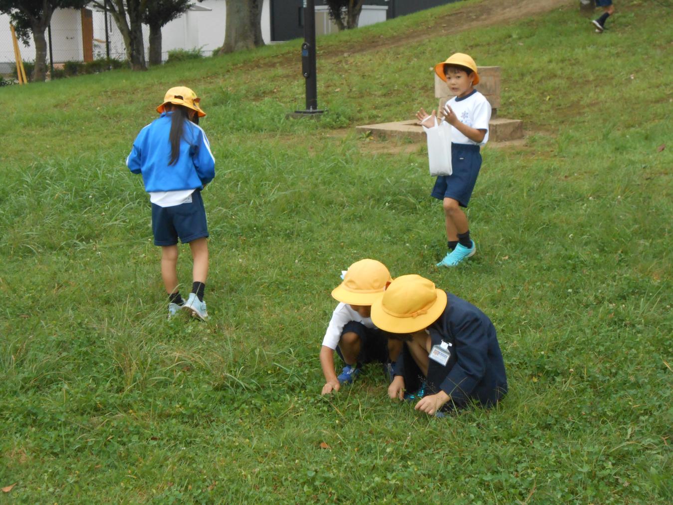 DSCN9524