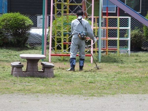 幼稚園の様子 (3) 幼稚園の様子 (3)