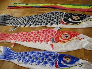 IMG_1358 IMG_1358