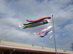 IMG_1371 IMG_1371
