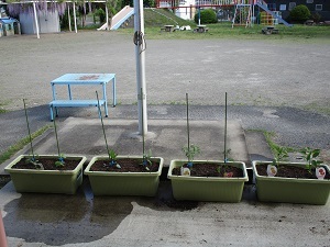 IMG_1413 IMG_1413