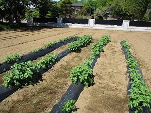 IMG_1414 IMG_1414