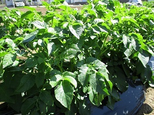 IMG_1422 IMG_1422