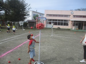 IMG_2355 IMG_2355