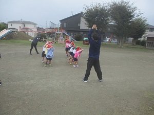 IMG_2491 IMG_2491
