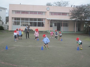 IMG_2495 IMG_2495