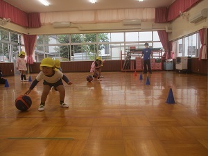IMG_2517 IMG_2517