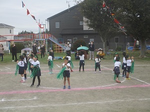 IMG_2586 IMG_2586