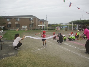 IMG_2606 IMG_2606
