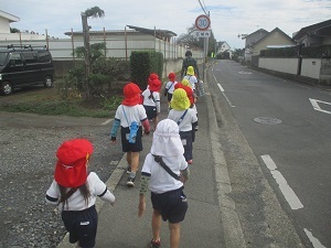 IMG_2658 IMG_2658