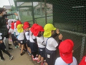 IMG_2680 IMG_2680