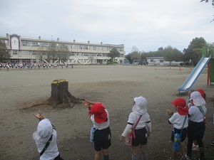 IMG_2664 IMG_2664