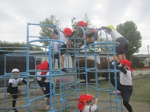 IMG_2670 IMG_2670