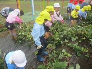 IMG_2752 IMG_2752