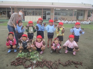 IMG_2771 IMG_2771