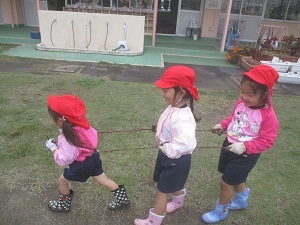 IMG_2777 IMG_2777