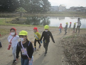 IMG_2799 IMG_2799