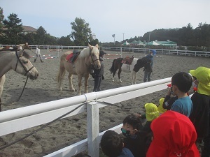 IMG_2806 IMG_2806
