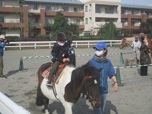 IMG_2832 IMG_2832