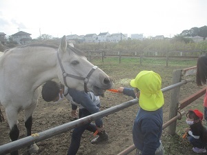 IMG_2843 IMG_2843