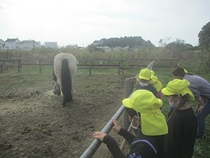 IMG_2875 IMG_2875