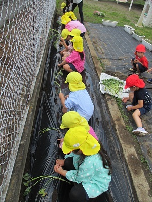 IMG_4777 IMG_4777