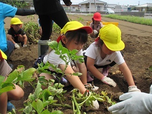 IMG_4926 IMG_4926