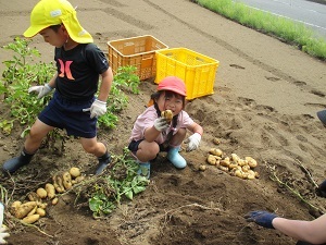 IMG_4930 IMG_4930