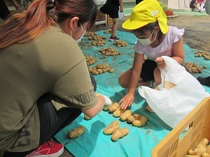 IMG_4939 IMG_4939