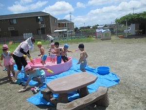 IMG_4956 IMG_4956
