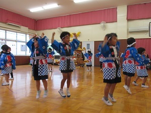 IMG_5024 IMG_5024