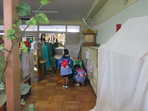 IMG_5094 IMG_5094