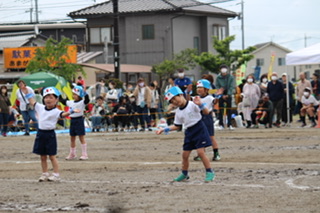 IMG_9034 IMG_9034