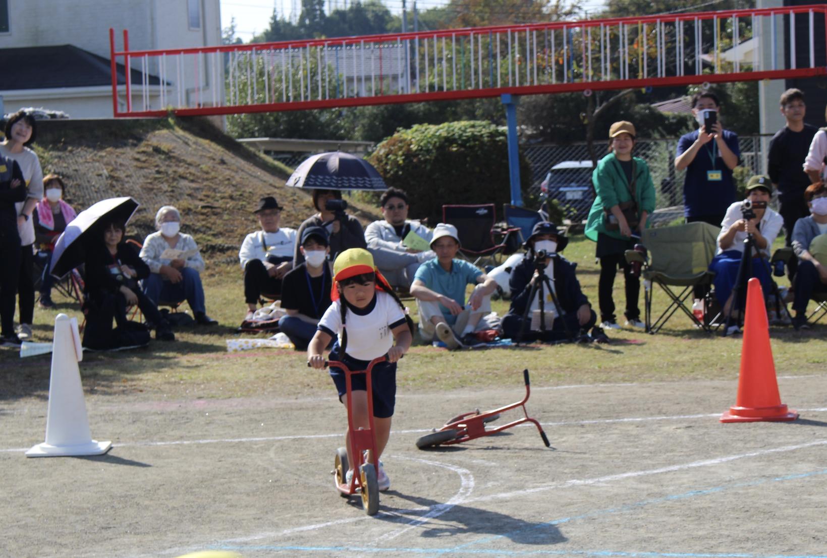 IMG_1800 IMG_1800