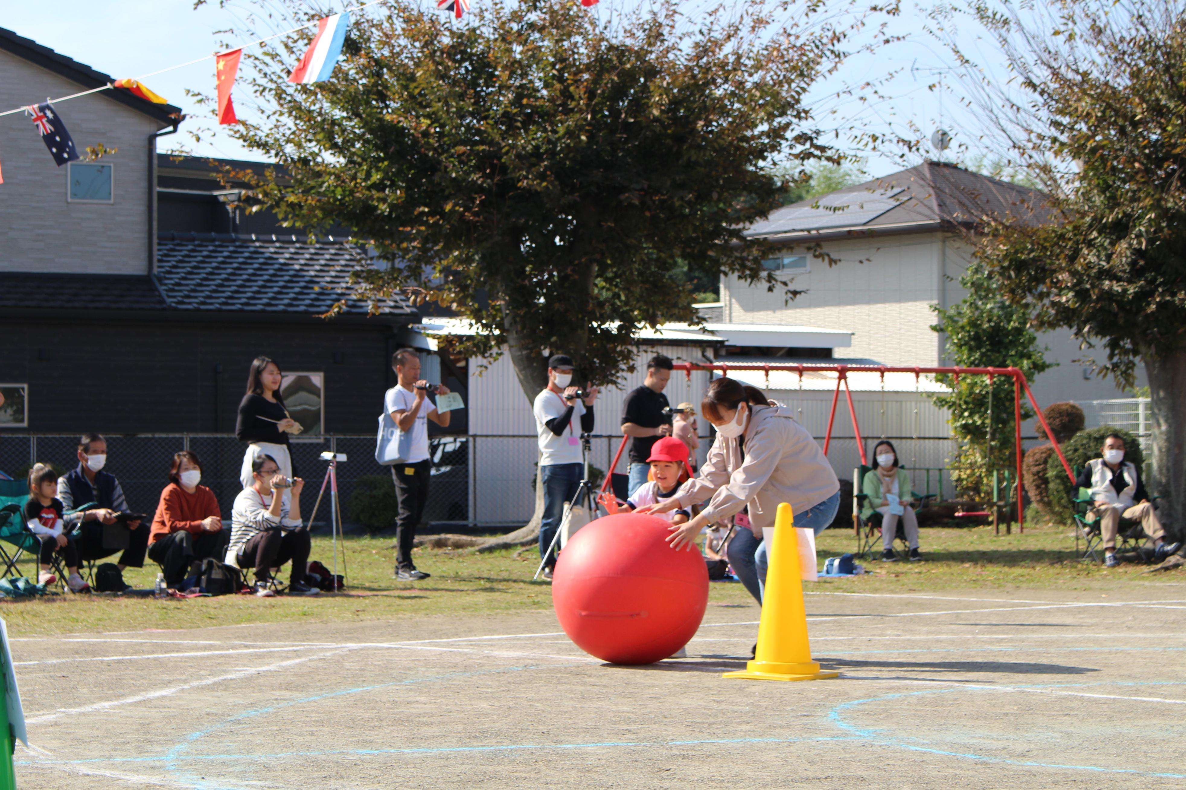 IMG_1816 IMG_1816